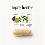 🚀 ZZEN FOCUS — Máxima claridad mental, concentración total y energía constante 💊