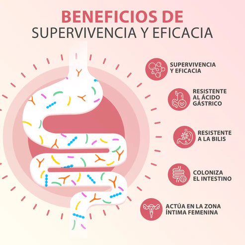 🌸Probióticas Windboss Women's – Frescura interna y protección contra infecciones