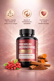 Premium Berberine 👉 Apoya tu metabolismo, controla el azúcar y recupera tu equilibrio todos los días 🔥⚖️