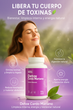 ✨ Cardo Mariano – Detox Natural para Tu Hígado y Energía Vital