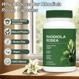 Rhodiola Rosea — Fórmula Natural Importada de USA para Estrés y Rendimiento 🗽