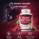 Organic Beet Root 👉 Mejora tu circulación y recupera tu rendimiento masculino de forma natural ❤️⚡