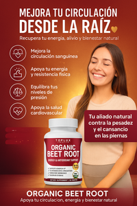 Beet Root: Alivia la pesades de tus piernas 🦵 y mejora tu circulación y fortalece tu corazón ❤️