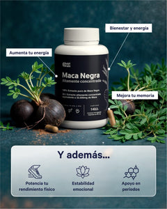 ⚡ Maca Negra — Energía, Vitalidad y Potencia Natural