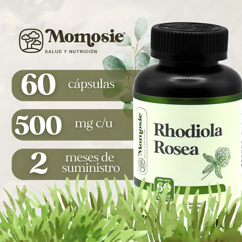 Rhodiola Rosea — Controla el Estrés, Recupera tu Energía y Enfoca tu Mente 💪