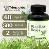 Rhodiola Rosea — Controla el Estrés, Recupera tu Energía y Enfoca tu Mente 💪