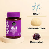NAD+ y Melena de León de MIMA IMPORTADO DE USA: 🧬🧠 Olvídate del cansancio, la mala memoria y sentirte mayor