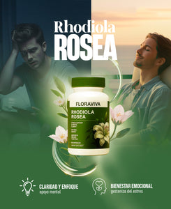 Rhodiola Rosea — Fórmula Natural Importada de USA para Estrés y Rendimiento 🗽