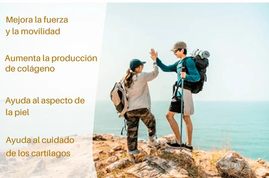 Joint Support  — Alivio Profundo y Movilidad Activa