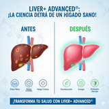 Liver Detox 20-en-1: El Complejo Avanzado con Cardo Mariano y Glutatión para la Limpieza, Reparación y Energía del Hígado. ⚡️🦠