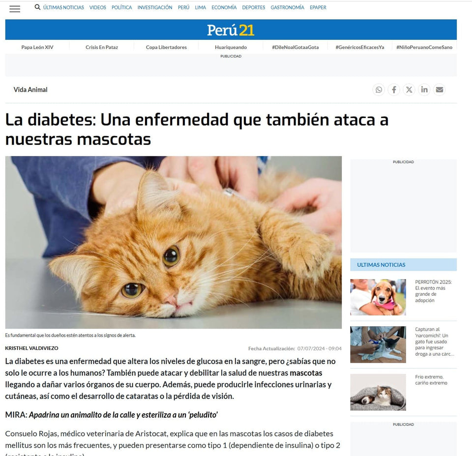 CatSpeed 2.0 - El regalo que cuida su salud… y llena tu vida de momentos únicos. 🐾
