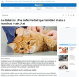 CatSpeed 2.0 - El regalo que cuida su salud… y llena tu vida de momentos únicos. 🐾