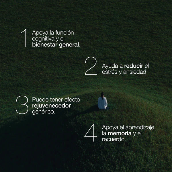 🌿 ZZEN CALM — Ashwagandha con KSM-66®, el extracto ancestral que equilibra tu cuerpo, reduce el estrés y calma tu mente. 😌