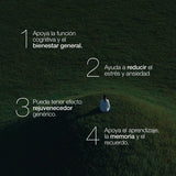 🌿 ZZEN CALM — Ashwagandha con KSM-66®, el extracto ancestral que equilibra tu cuerpo, reduce el estrés y calma tu mente. 😌