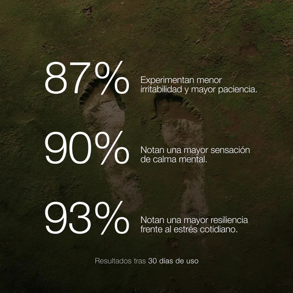 🌿 ZZEN CALM — Ashwagandha con KSM-66®, el extracto ancestral que equilibra tu cuerpo, reduce el estrés y calma tu mente. 😌