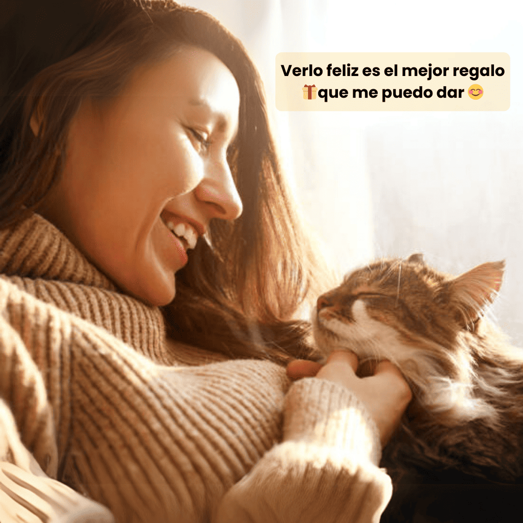 CatSpeed 2.0 - El regalo que cuida su salud… y llena tu vida de momentos únicos. 🐾