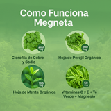 🌿 Body Odor Remove — La solución natural contra el mal olor corporal y el mal aliento.