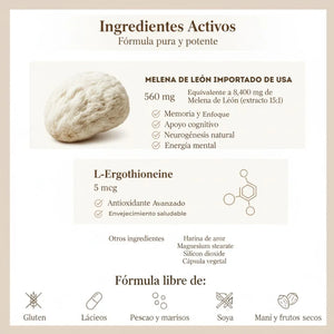 POTENCIA TU ENERGÍA Y CONCENTRACIÓN CON LION´S MANE+ Importado de USA🗽
