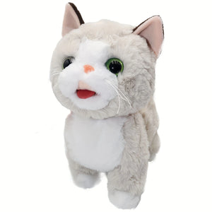 "Gatito Mágico: Un Compañero que Llena de Ternura"