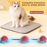 CatSpeed 2.0 - El regalo que cuida su salud… y llena tu vida de momentos únicos. 🐾