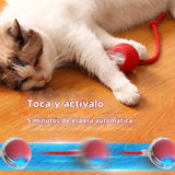 CatSpeed 2.0 - El regalo que cuida su salud… y llena tu vida de momentos únicos. 🐾