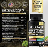 🔥 Vitalidad Extrema 8-en-1: Shilajit + Ashwagandha Premium